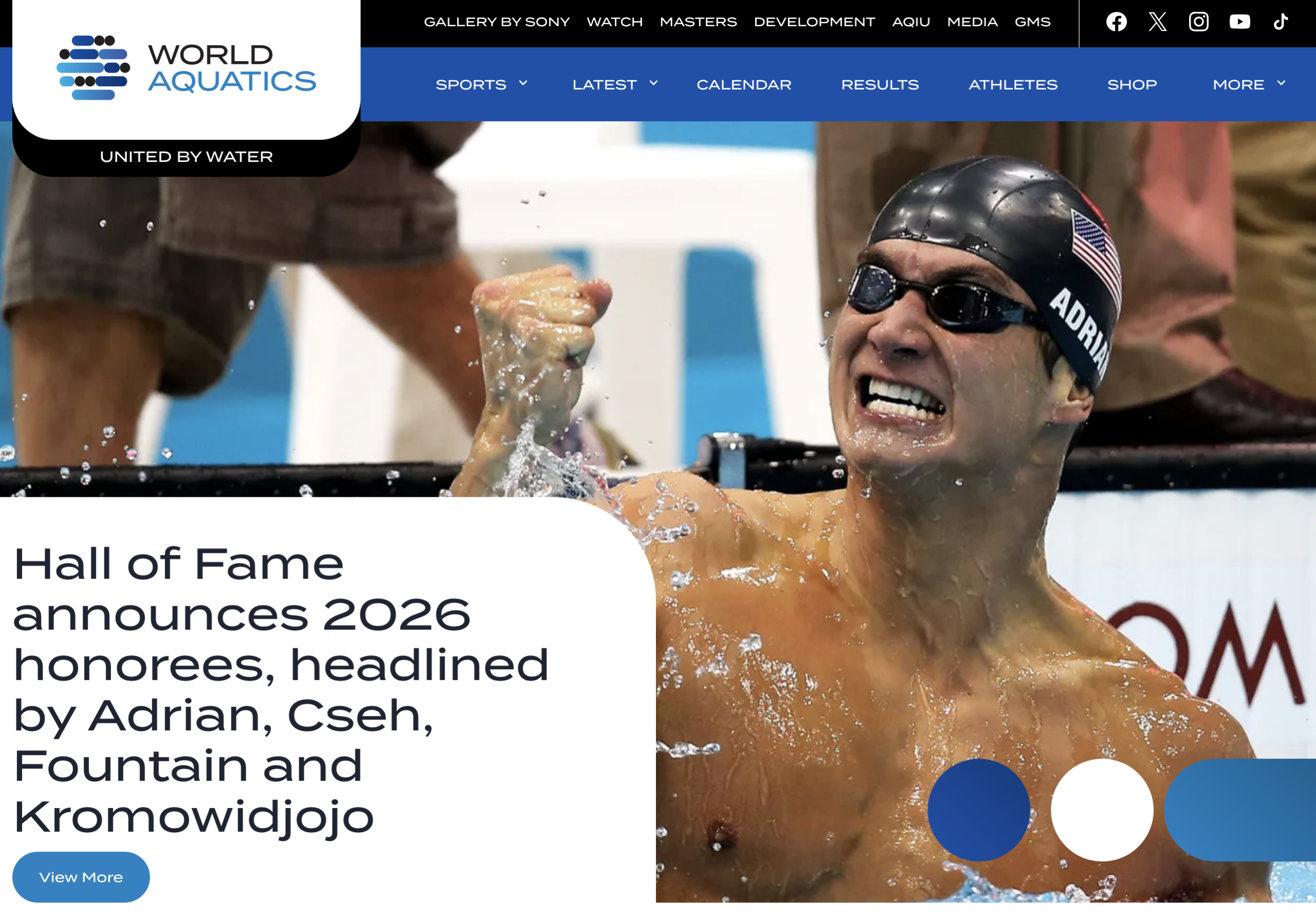 世界水泳公式メディア